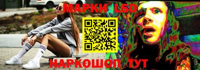 индика Можга