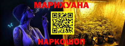 индика Можга