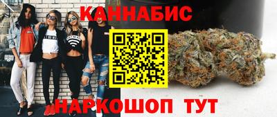 индика Можга