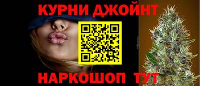 индика Можга