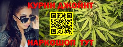 индика Можга